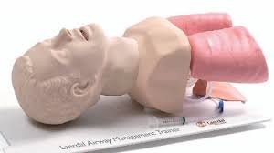 Airway Management Trainer สำหรับฝึกใส่ท่อช่วยหายใจ